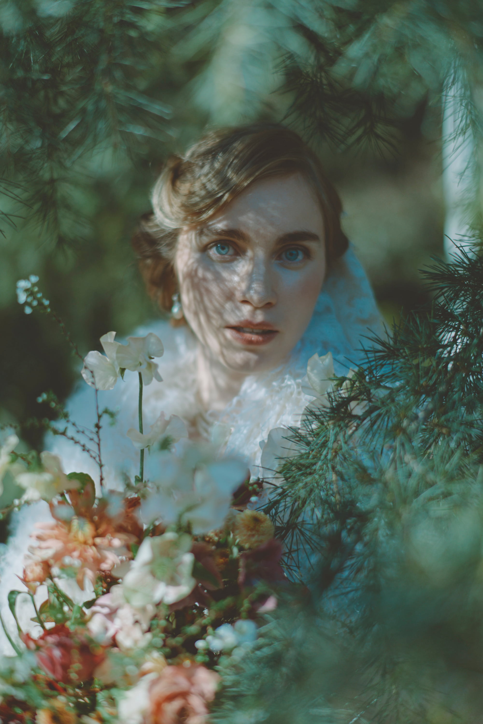 Shadow of a tree on a bride