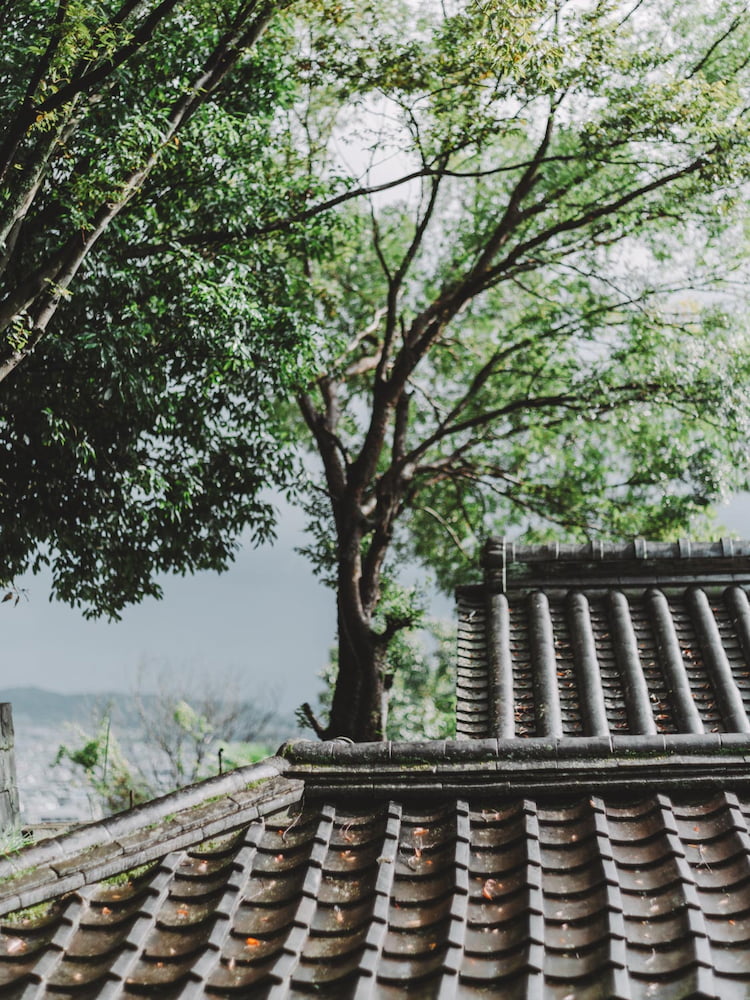 Tiled roof and sky