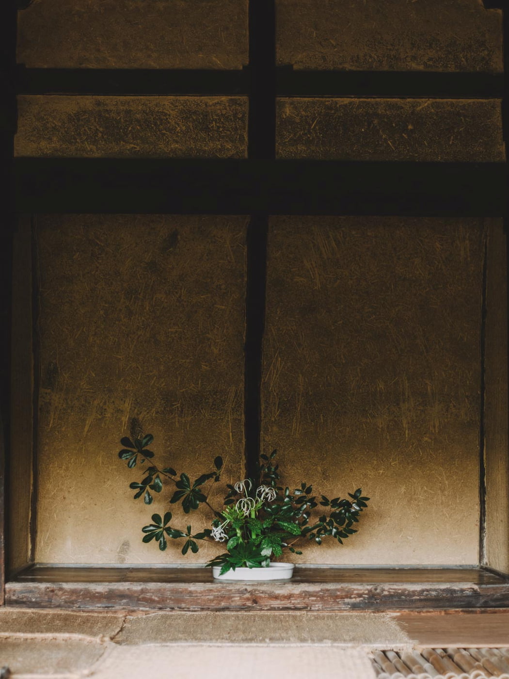 Clay wall and fresh flowers