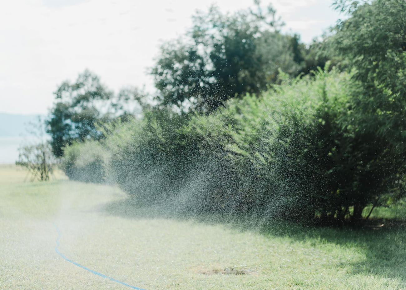 sprinkling water over