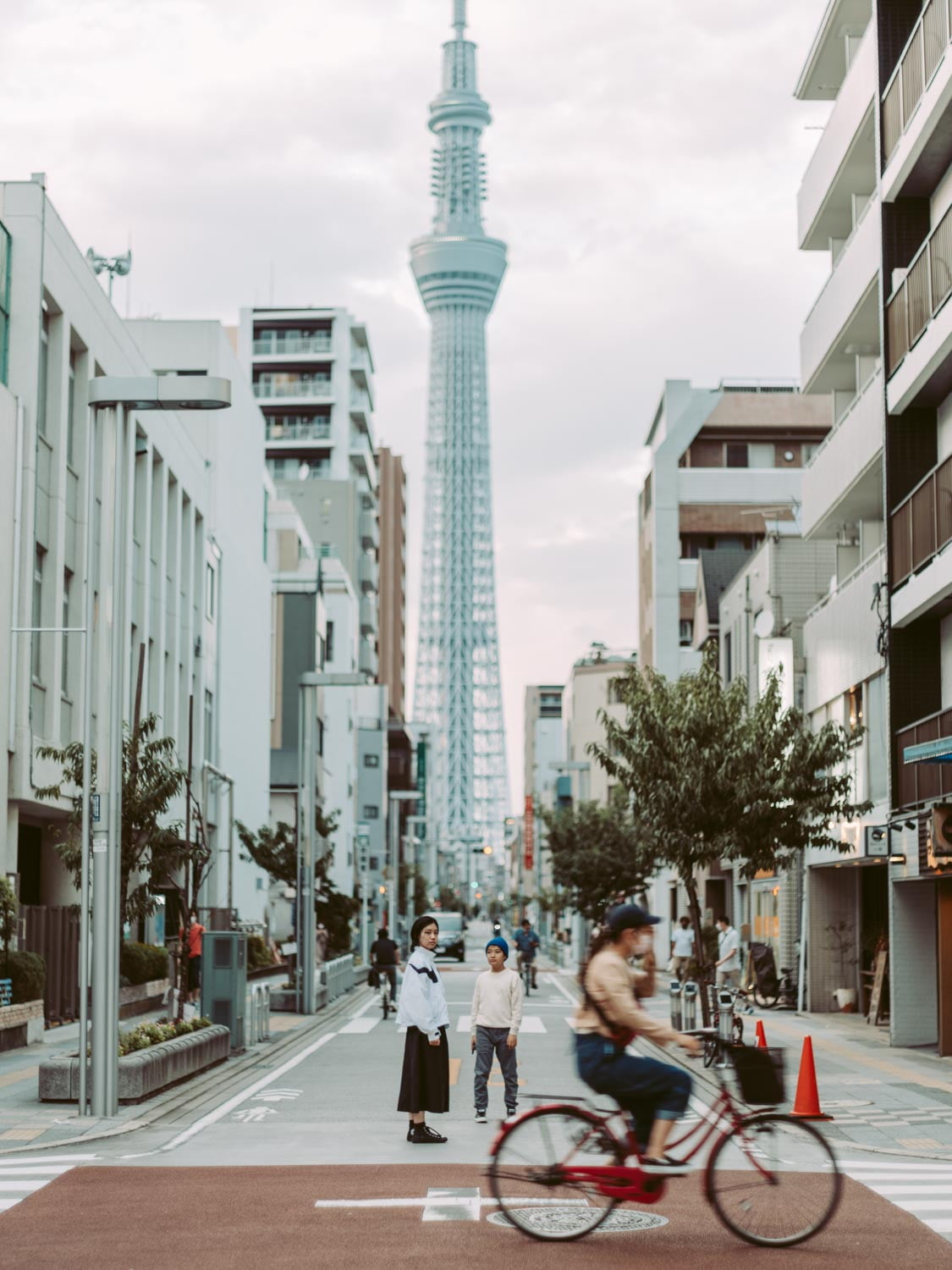 Landscape with Tokyo Sky Tree