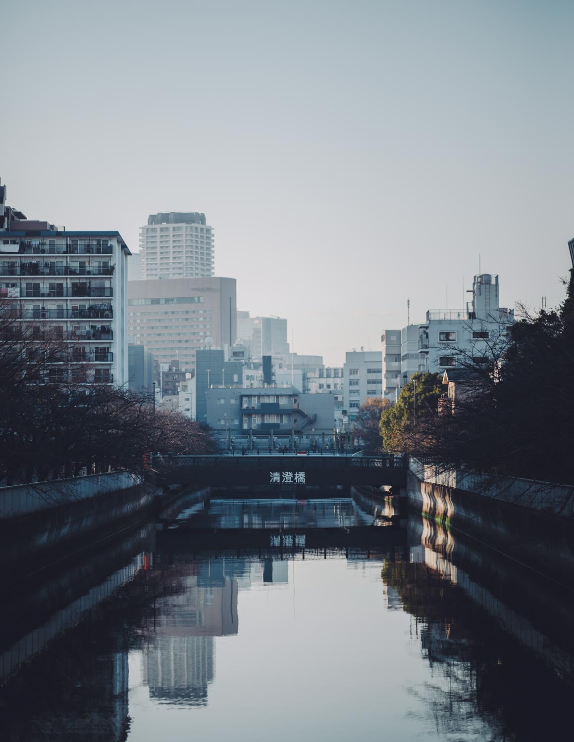 Kiyosumi Bridge